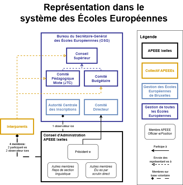 Diagramme représentant les liens entre l'APEEE Ixelles et les organes de l'OSG